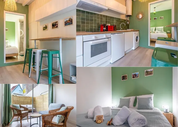 아파트 Les Hortillonnages_b&b Inn_centre Ville_terrasse_wifi_netflix